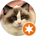 ようちん profile picture