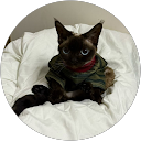 kiwi profile picture