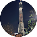 いぬ profile picture