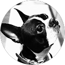 COICHI COICHI profile picture