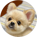 Chieko Y profile picture