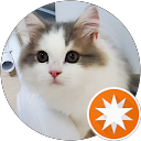 白發中 profile picture