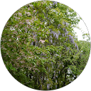 gg9ww profile picture