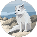 洸之郎 profile picture