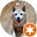 シバにゃんもも profile picture