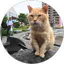 Tomoka Nishida profile picture