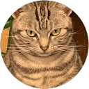 ぐぐ profile picture