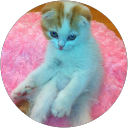 REN profile picture