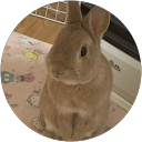 三村佳穂 profile picture