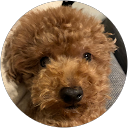 coco39 akiken profile picture