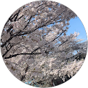 くろんRISE profile picture