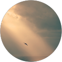 y k profile picture