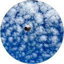 coha ru profile picture