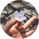 るる profile picture