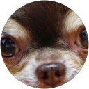 Kazuya Saito profile picture