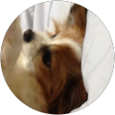 結みつき profile picture