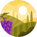 シンシン profile picture