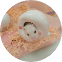 hmhm Meme profile picture