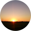 たぬ吉 profile picture