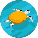 ウミガメ profile picture