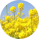 S S profile picture