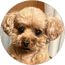 N 13 profile picture