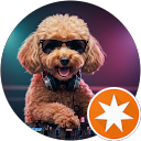 へいわ profile picture