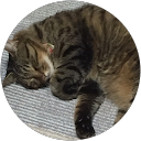 キタムラユウタ profile picture