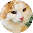 M 730 profile picture