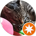 くぅにゃん profile picture