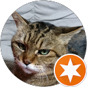 しもかぼ profile picture