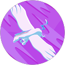 カマドウマ profile picture