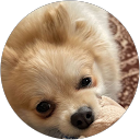 S H profile picture
