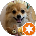 パン・オ・ショコラ profile picture