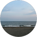 N S profile picture