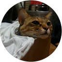 praoor 5 profile picture