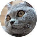 k3k2m1 profile picture