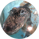 RE-RA K profile picture