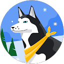 ちー profile picture