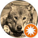 森山健介 profile picture