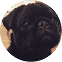 LUCA profile picture
