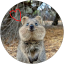 A Mr. profile picture