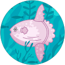 a profile picture