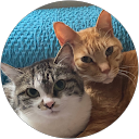 Наоко Маки profile picture