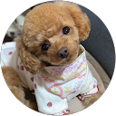 うちんちゃん profile picture