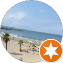 Ocean Dream profile picture