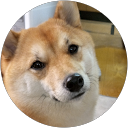 谷野祐司 profile picture
