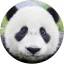 HIROHISA KAWABATA profile picture