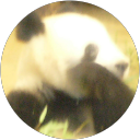 haha pon profile picture