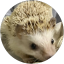 Nobuyuki HAYASHI profile picture